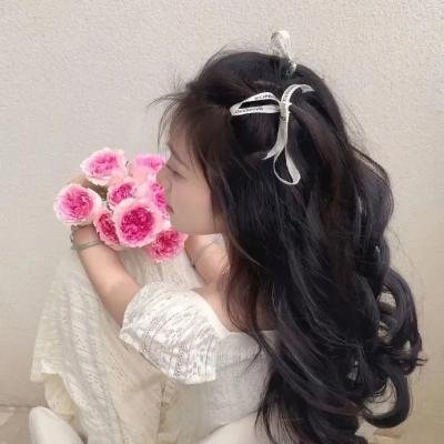 银河英雄传说